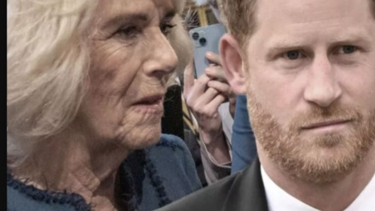 Révélations Choc : Le Rôle Clé de Camilla Parker-Bowles dans la Rencontre Éclair de Harry et Charles III !