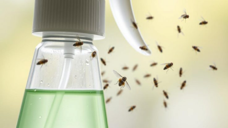 Anti Mouche : Découvrez les Solutions Efficaces et Naturelles pour Éliminer les Mouches – Produits,