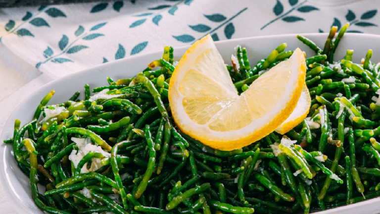 Salicorne : Bienfaits et astuces pour cuisiner cette plante marine délicieuse
