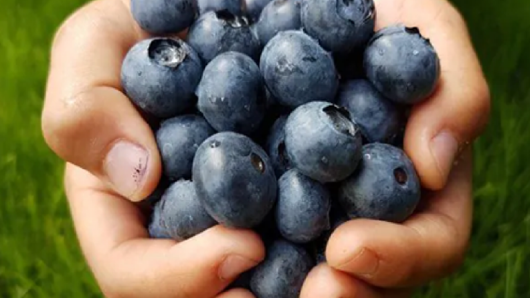 Voici pourquoi vous devriez manger des myrtilles plus souvent
