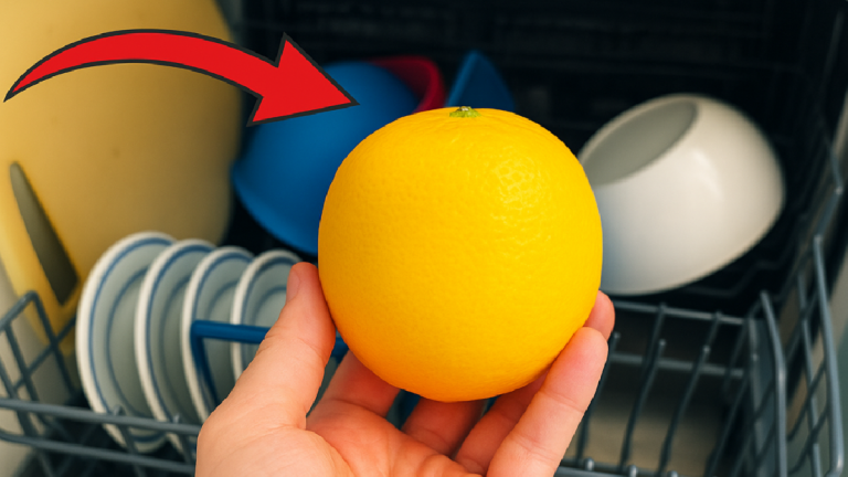 Placez un citron dans votre lave-vaisselle : l’astuce méconnue pour faire des économies
