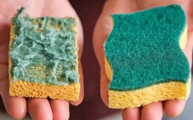 Ne jetez plus vos vieilles éponges : cette astuce ingénieuse leur offre une seconde vie utile